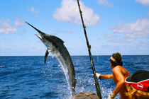 Fishing Charters