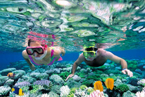 Snorkeling Tours