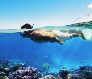 Snorkeling Tours